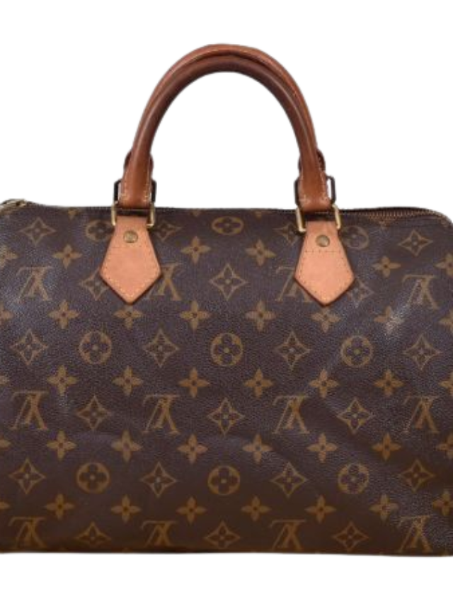 TOP 10 luxury handbags in the world ……