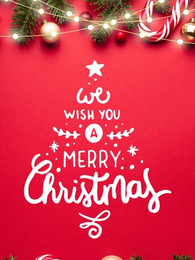 Merry Christmas Cakes ….