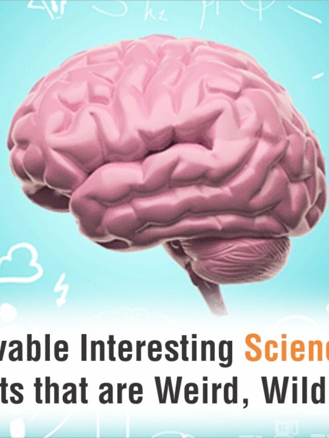 10 facts so weird you won’t believe they’re true