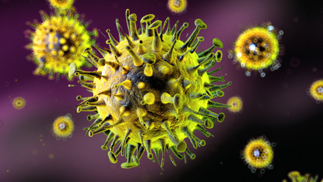 H3N2 Virus update