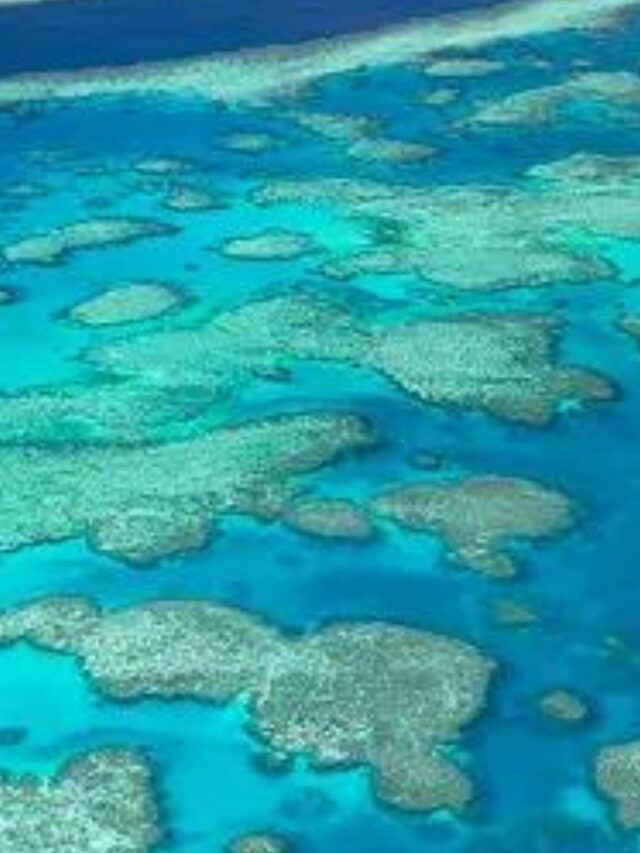 TOP 10 BEST PHOTOS THAT WILL CHANGE THE WAY YOU SEE THE WORLD