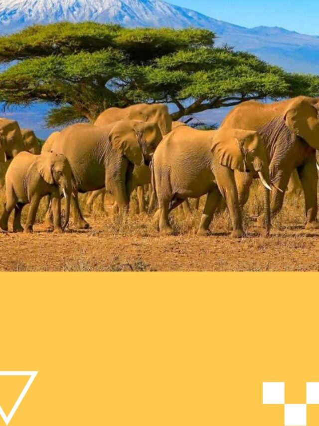 THE MOST EXPENSIVE DESTINATIONS FOR 2024