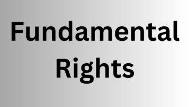 what are the fundamental rights