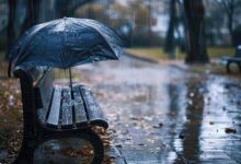 Barish