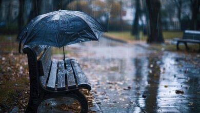 Barish